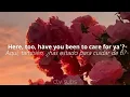 Cocteau Twins - Pitch the Baby || (lyrics & subtitulos/letra español)