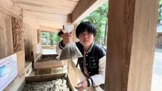 稻佐之濱→出雲大社的御砂交換之旅