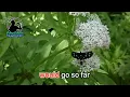 BOULEVARD - Dan Byrd (Karaoke version)