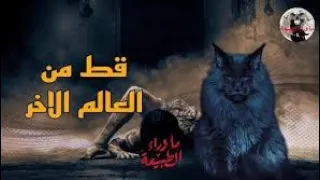 انتقام من الجن جريده وحي القلم قصه القط الملعون من اروع القصص انتاج Ahmed 
