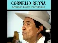 Mi Tesoro