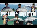 Download Lagu Pulau Hantu Besar Singapore Fishing Vol.1 | Light Jigging | Eging | Ajing