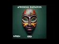 Download Lagu DJ NABIH - AfroSoul Elevation [AFRO HOUSE MIX]
