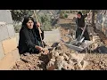 Download Lagu Daily Nomadic Life: The Hardships of Davoud and Akram in a Small Village