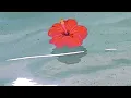 cd ghost - on my mind slowed + reverb