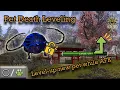 AFK Pet Leveling with ANY Profession and Unlock any Pet in Guild Wars 1