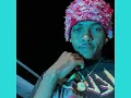 PONLA PA LLEVAR - Lil Naay✖️Yailin La Más Viral (Audio Official)