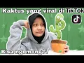 Download Lagu Kaktus yang viral di TIKTOK!! annoying?? [ANBOXING]