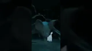 فيلم يوم 13 اول فيلم 3d مصري Shorts  فيلم يوم 13 اول فيلم 3d مصري Shorts