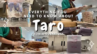 Download TARO 101💜 what is taro how do you pick a good taro root how do you cook taro for boba drinks MP3