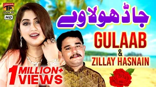 ja dhola ve main nai bulawraan gulaab zille hassnain latest saraiki song 2019