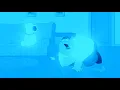 Download Lagu Peter Tries Rice Cakes But I Vocoded It