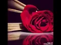احمد فاضل ذبحني الليل مع الكلمات روعه حالات
