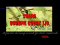 Download Lagu Suara burung cucak ijo di alam liar || BHCC sniper