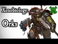 Orks - The Greenskins Warhammer 40K Lore