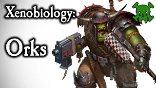 Orks - The Greenskins Warhammer 40K Lore