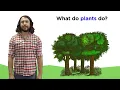 Photosynthesis: Light Reactions and the Calvin Cycle