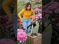 Lagu Cute little Penguin#travel