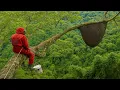 Download Lagu UNBELIEVABLE! Brave Man's Most Dangerous Climb on Giant Tree for Wild Honey