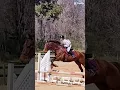 Download Lagu CLICK LINK https://www.facebook.com/share/19M5N56inz/?mibextid=qi2Omg #holly #horse #shorts #eq #fyp