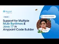 Multiple Runtimes Java 17 in Anypoint Code Builder