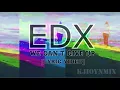 EDX  – We Can't Give Up (WildVibes Remix)[Lyric video]