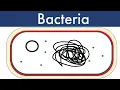 Bacteria Updated 2022-Leaving Cert Biology-Biology Bugbears Monera