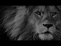 Download Lagu MAZA CHAKULA MAZA SONULA HIGH GAIN REMIX