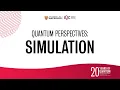 Quantum Perspectives Simulation