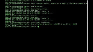 AES Cipher Bit Flipping