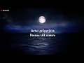 MALAM BULAN DIPAGAR BINTANG