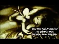 Download Lagu BỤI TRO PHẬN NGƯỜI - Anna Nhã Tiên