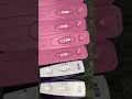 13 negative pregnancy test 16 DPO positive pregnancy test Don t give up
