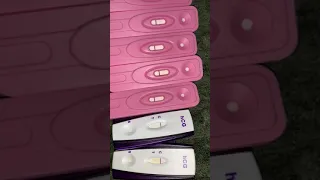 13 negative pregnancy test 16 DPO positive pregnancy test Don t give up