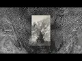 Superpoze - Terre (Official Audio) - Superpoze