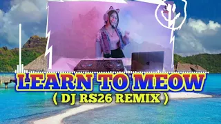 learn to meow meow dj slow night of party dj music 2020