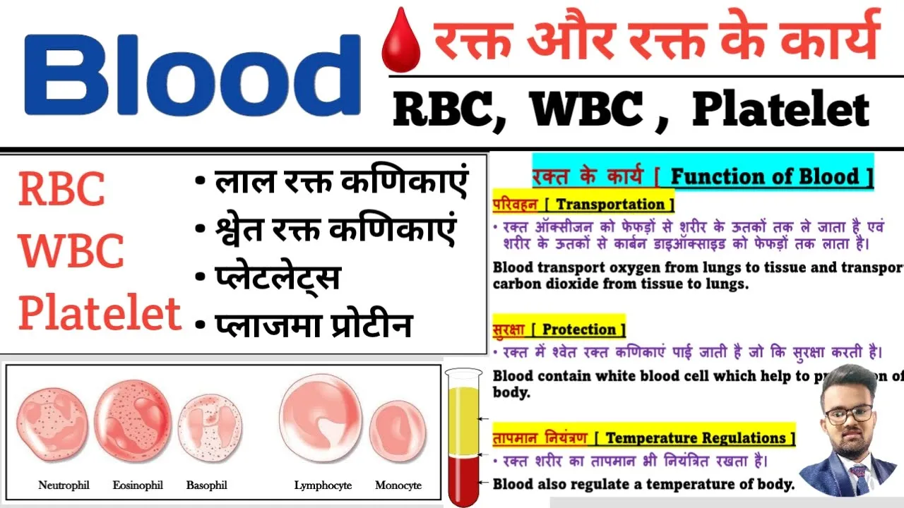 Human Blood | रक्त परिसंचरण तंत्र | RBC | WBC | Platelet | Plasma | Function of Blood | Blood Cell