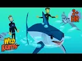 The Fastest Shark Vs the Fastest Fish Mako Shark Vs Sailfish Wild Kratts