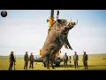 ¡Jabalí MONSTRUO! Cómo Ganaderos Derribaron al Líder Más Gigante de la Piara