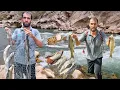 Download Lagu 🌊Hossein's adventurous trip to the river side: His extraordinary fishing!🐟🐟
