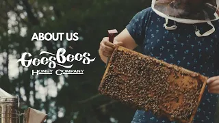 Download Welcome to Gees Bees Honey Company MP3