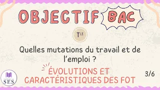 [BAC] Cours Travail-Emploi - Évolution et caractéristiques des formes d'organisation du travail