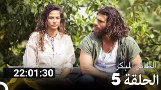 جميع الحلقات من مسلسل الطائر المبكر الموسم 5 Arabic Dubbed 