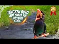 Download Lagu Tengkek Buto Jeda Suara Air - Masteran Cendet