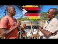 Download Lagu From Uk to Being One of the Best Boer Goat Breeders in Zimbabwe