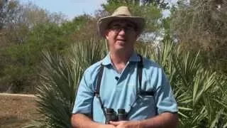 BIRDING BASICS BEYOND How to Use a Field Guide