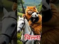 Download Lagu Cat saves Panda and meets fox - A heartwarming story ♥️ Emotional short | Must watchMan #cat #panda