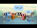 Introduction to the Core Humanitarian Standard CHS with English Subtitle
