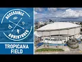 Tropicana Field An ADA Accessibility Friendly Stadium