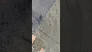 Severe King Tides Sausalito California